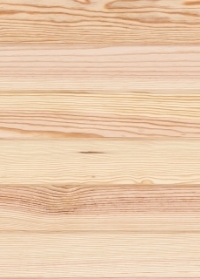 ボルドーパイン