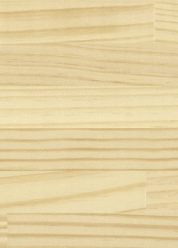 ラジアータパイン