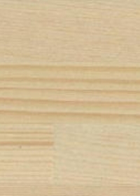 ホワイトスプルース